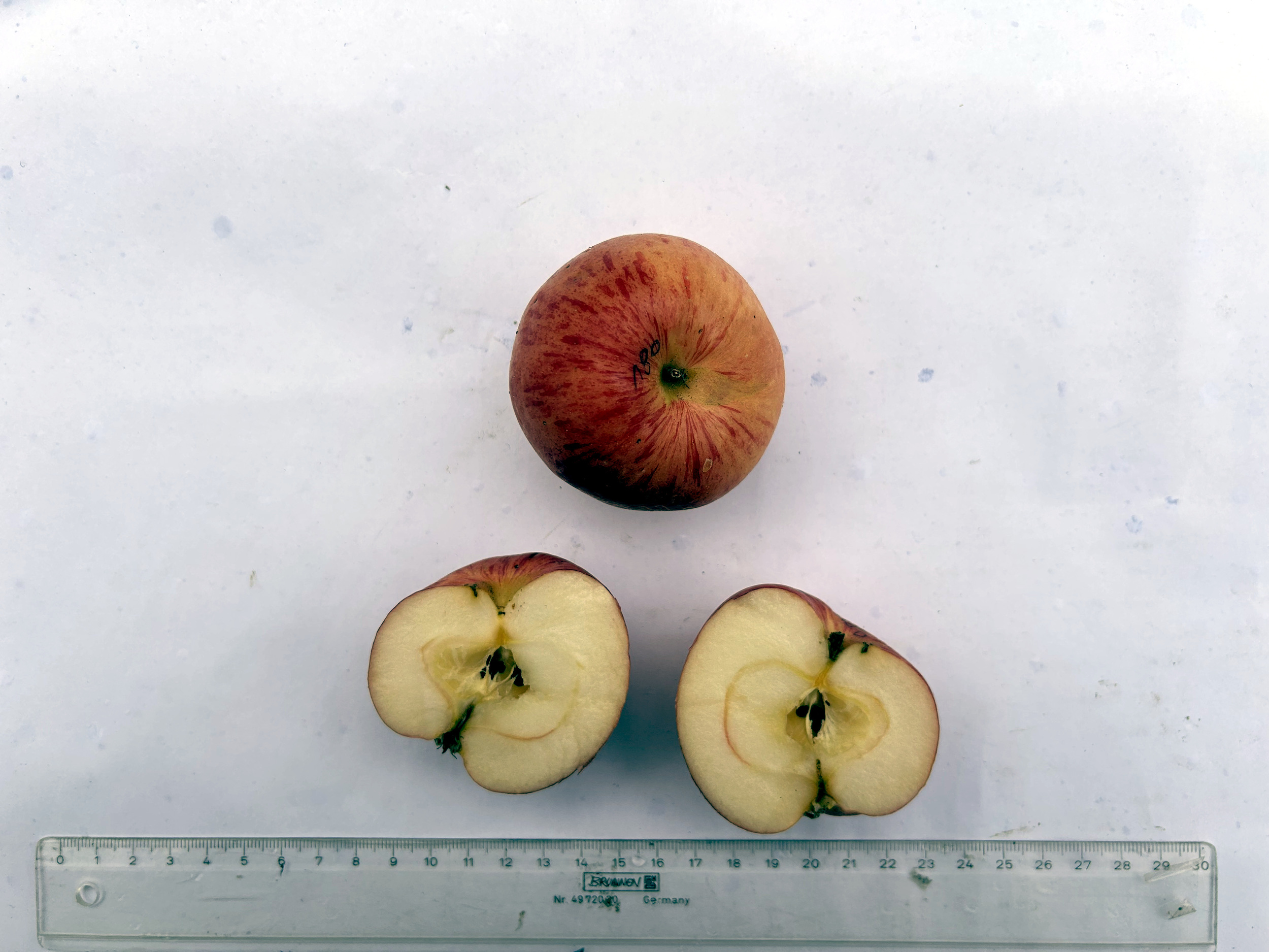 Worcester Pearmain